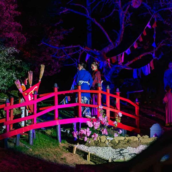 Maison des Jeunes et de la Culture - MJC de Saint-Martin-en-Haut | Pôle événementiel Son et Lumière